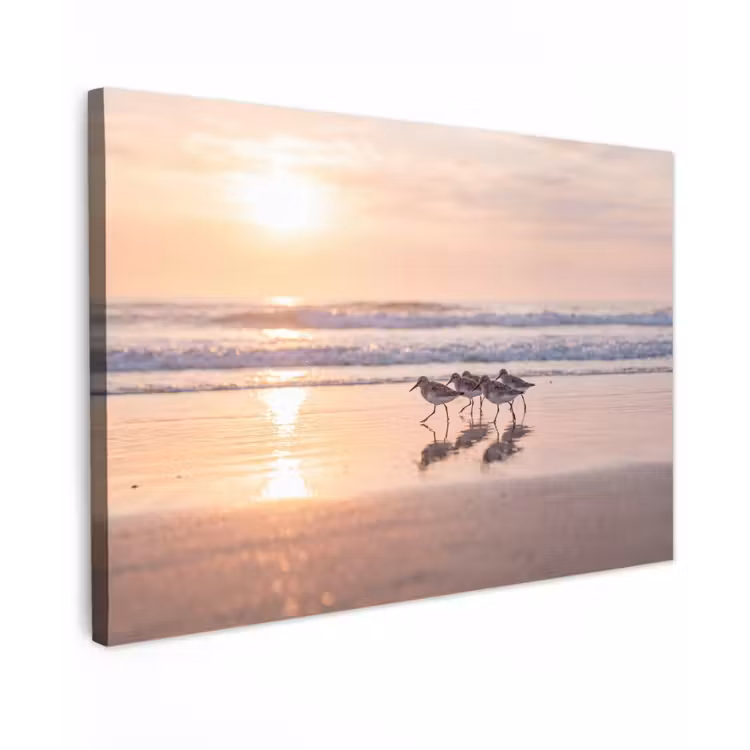 Canvas schilderij - Zee - Vogels - Strand — 1