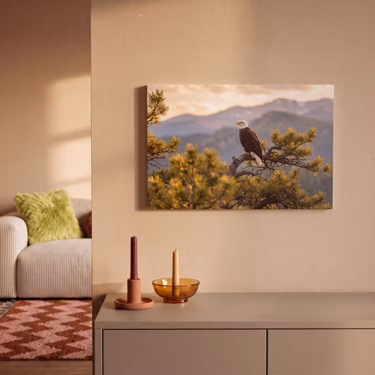 Canvas schilderij - Zeearend - Boom - Bergen - Groen — 2