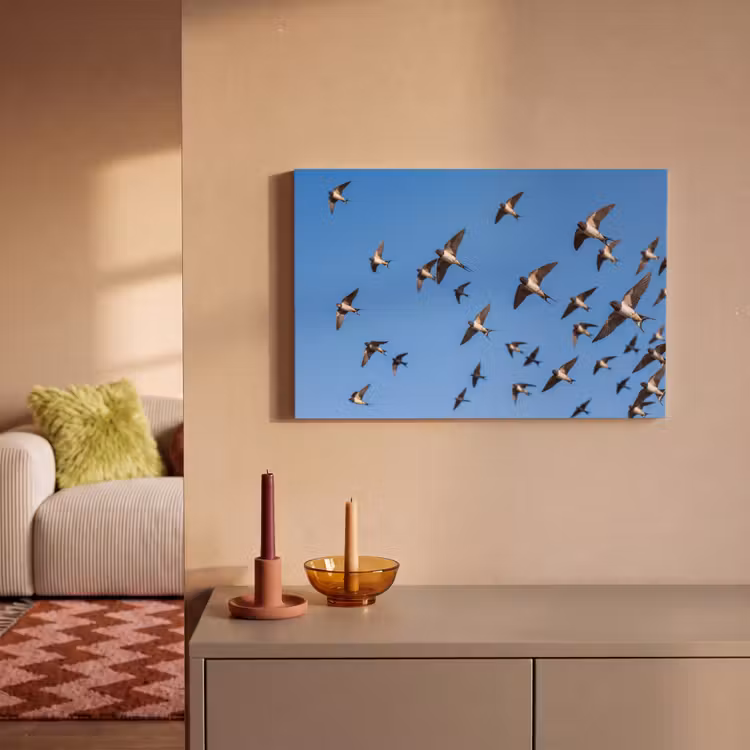 Canvas schilderij - Zwaluwen - Vliegen - Blauw — 2