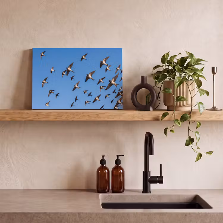 Canvas schilderij - Zwaluwen - Vliegen - Blauw — 3