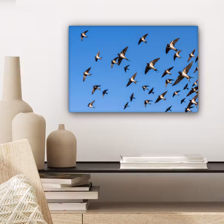 Canvas schilderij - Zwaluwen - Vliegen - Blauw — 5