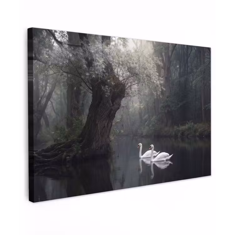 Canvas schilderij - Zwanen - Rivier - Bos — 1