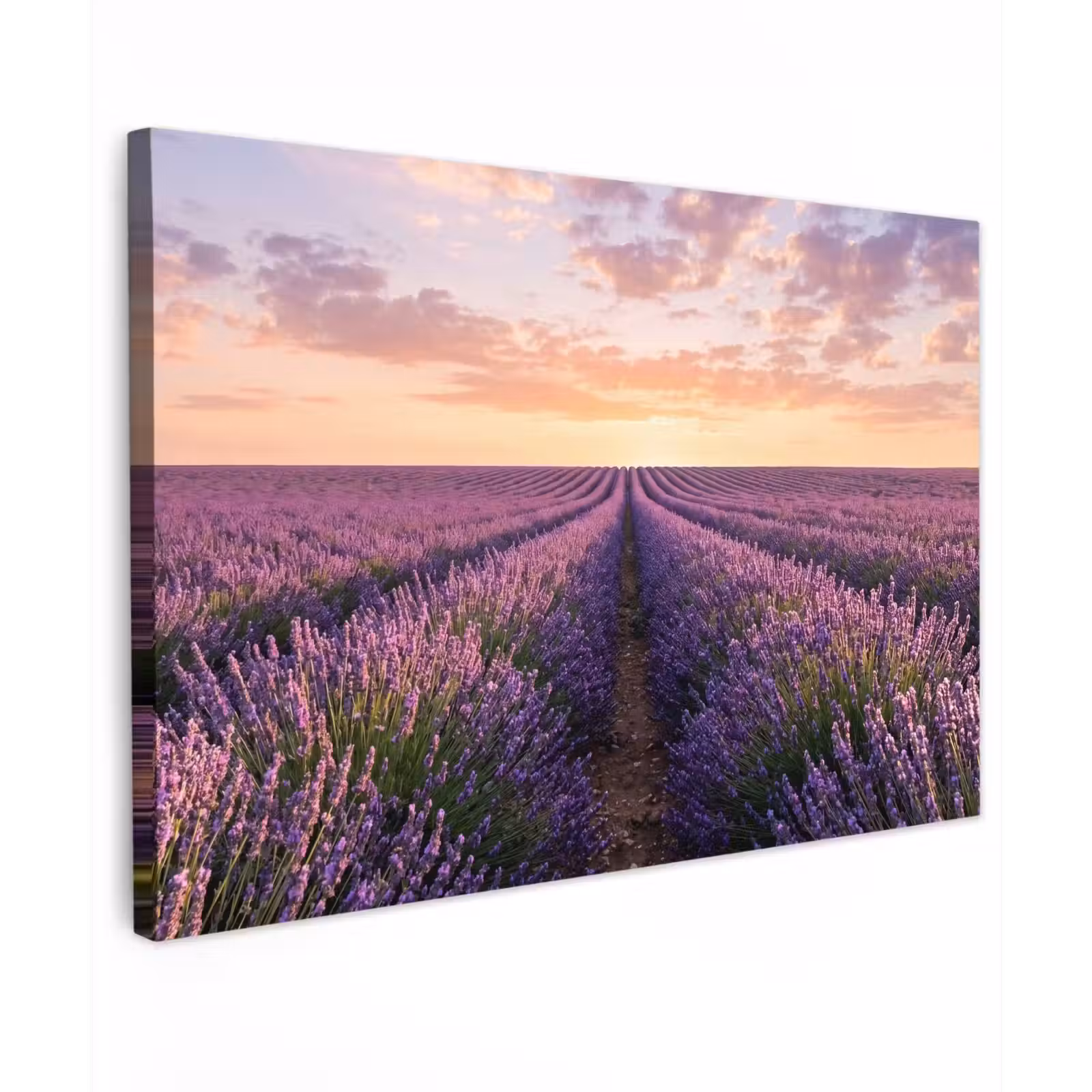 Canvas schilderij - Landschap - Lavendelveld - Paars — 1