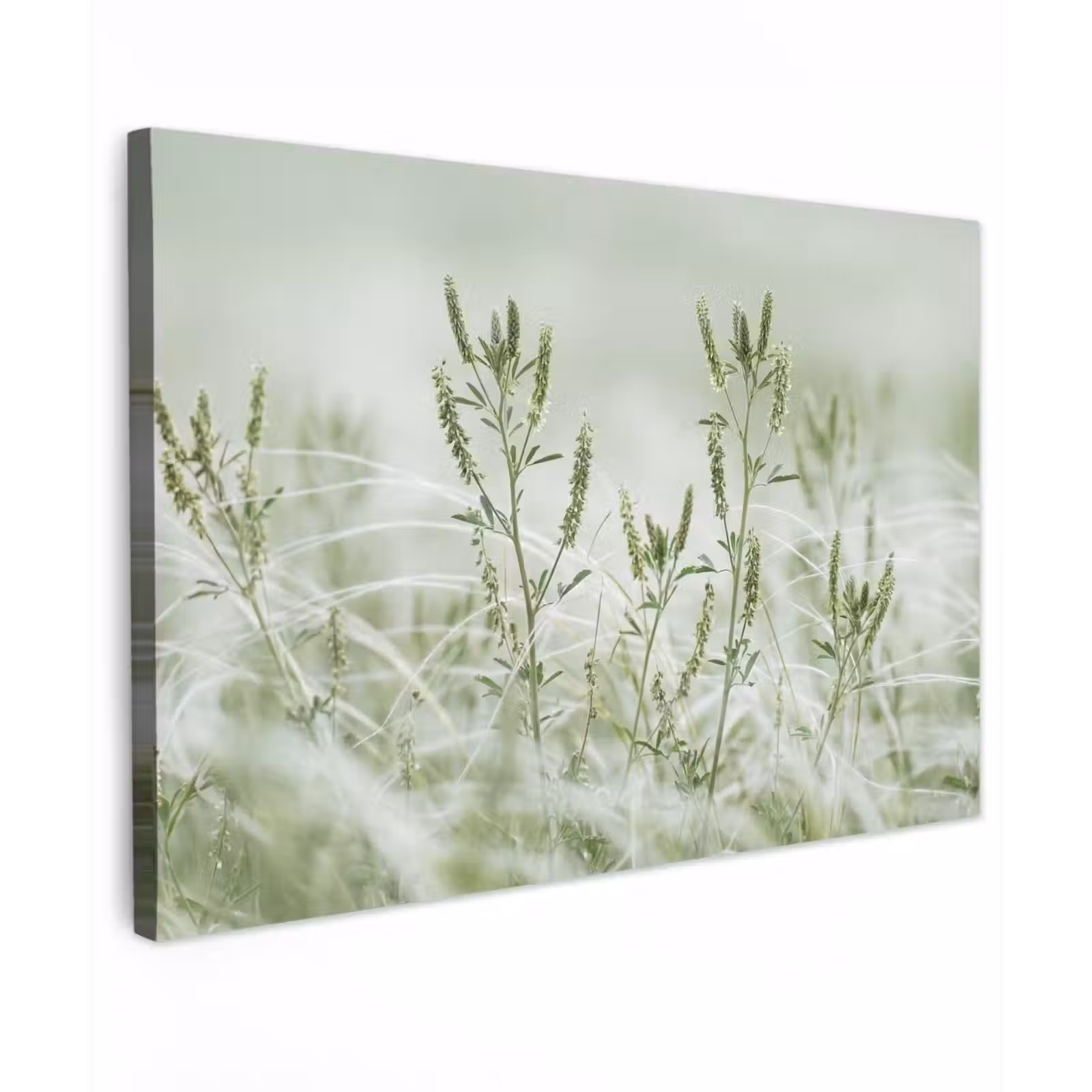 Canvas schilderij - Grassen - Minimalistisch - Groen — 1