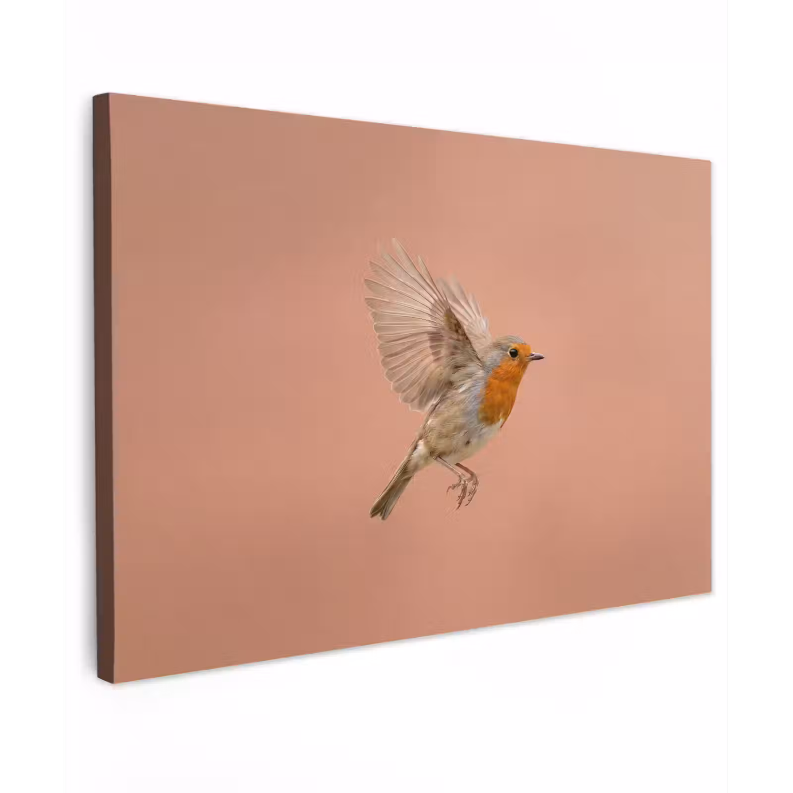 Canvas schilderij - Roodborst - Natuur - Roze — 1