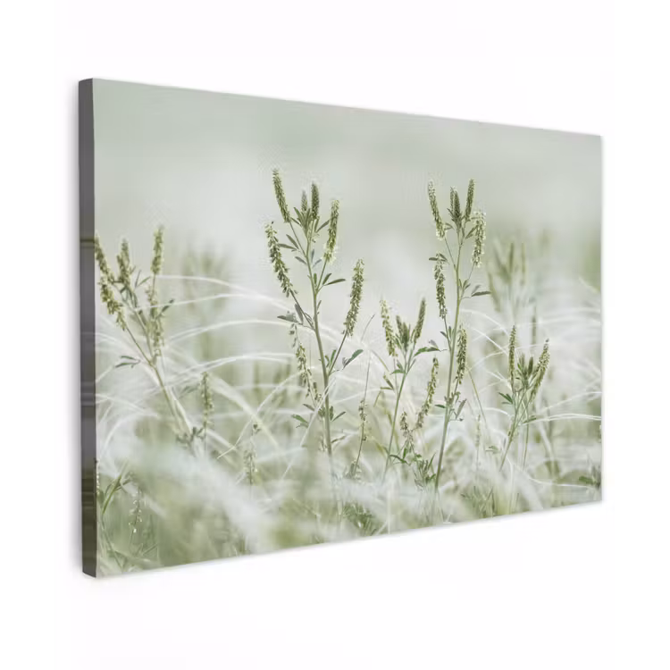 Canvas schilderij - Grassen - Minimalistisch - Groen — 1