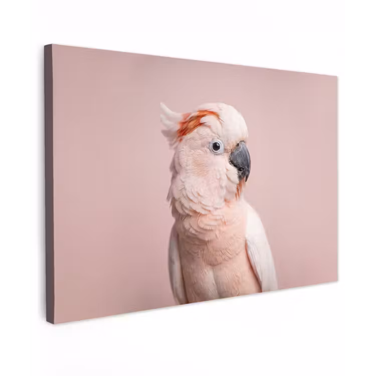 Canvas schilderij - Kaketoe - Portret - Roze — 1