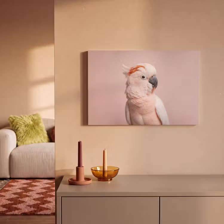 Canvas schilderij - Kaketoe - Portret - Roze — 2