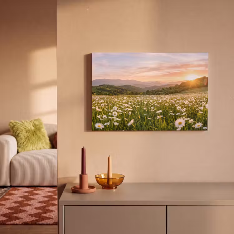 Canvas schilderij - Madelief - Veld - Heuvels - Groen — 2