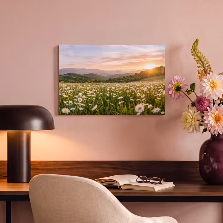 Canvas schilderij - Madelief - Veld - Heuvels - Groen — 4