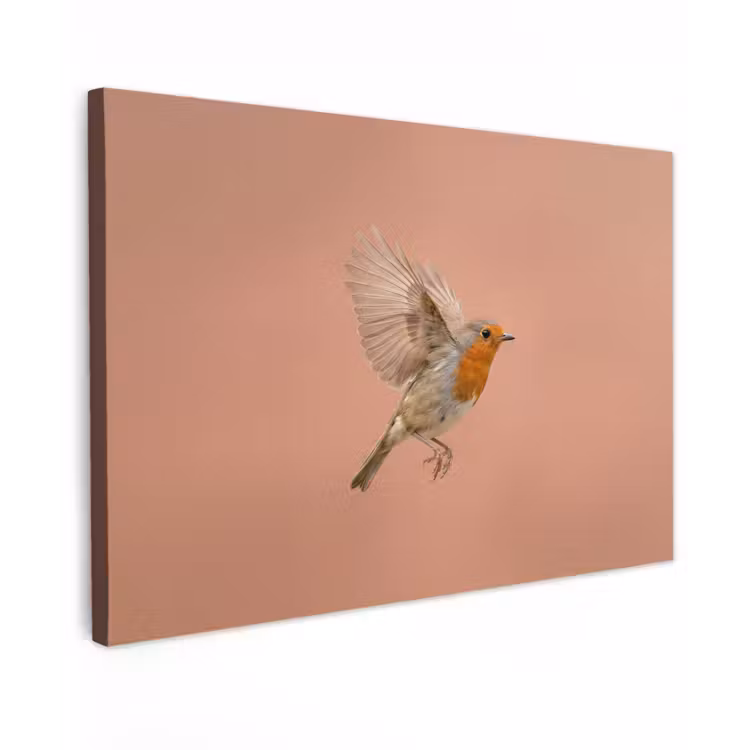 Canvas schilderij - Roodborst - Natuur - Roze — 1
