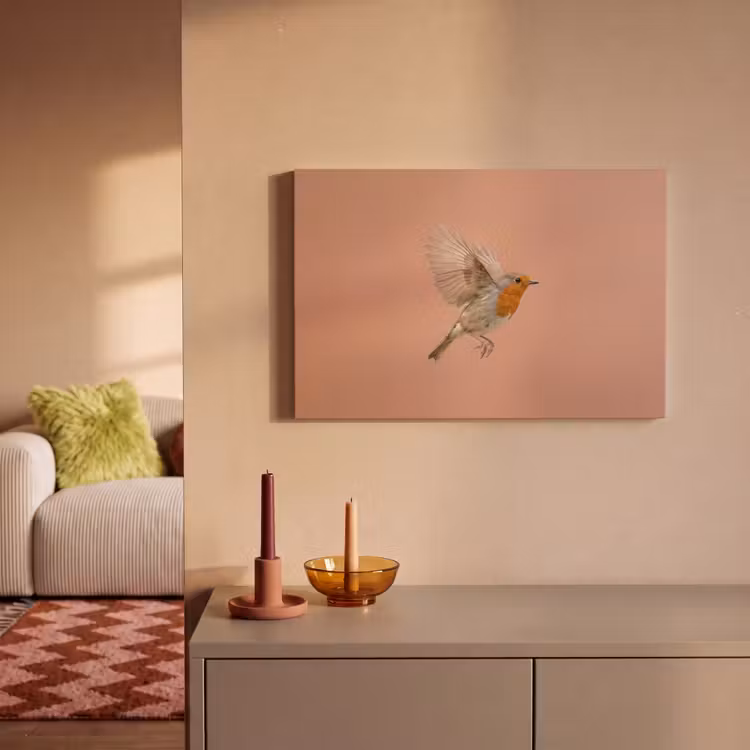 Canvas schilderij - Roodborst - Natuur - Roze — 2