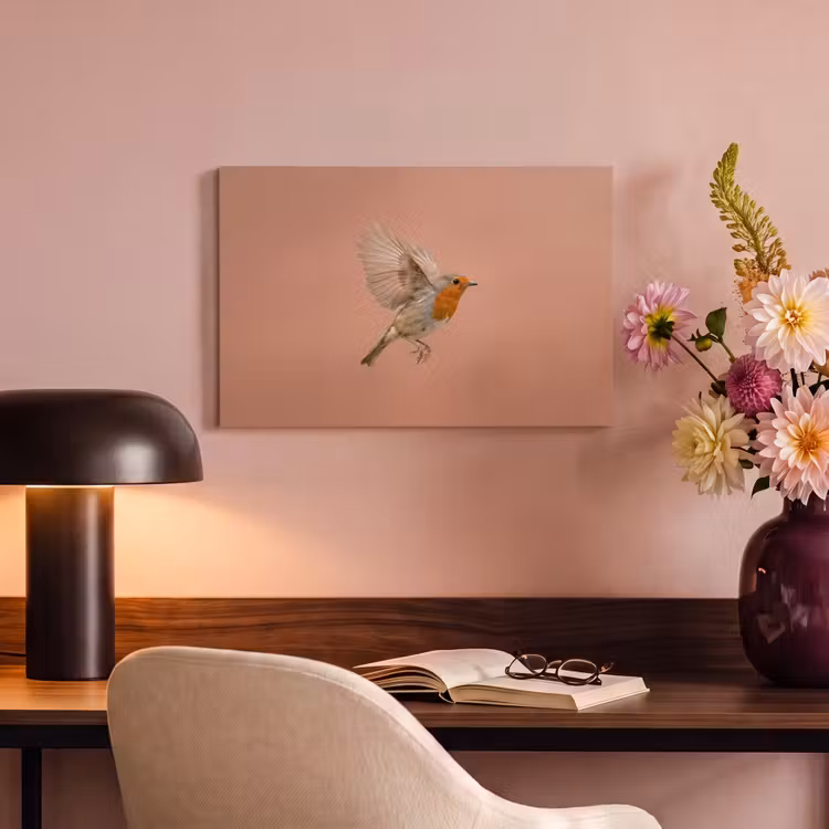 Canvas schilderij - Roodborst - Natuur - Roze — 4