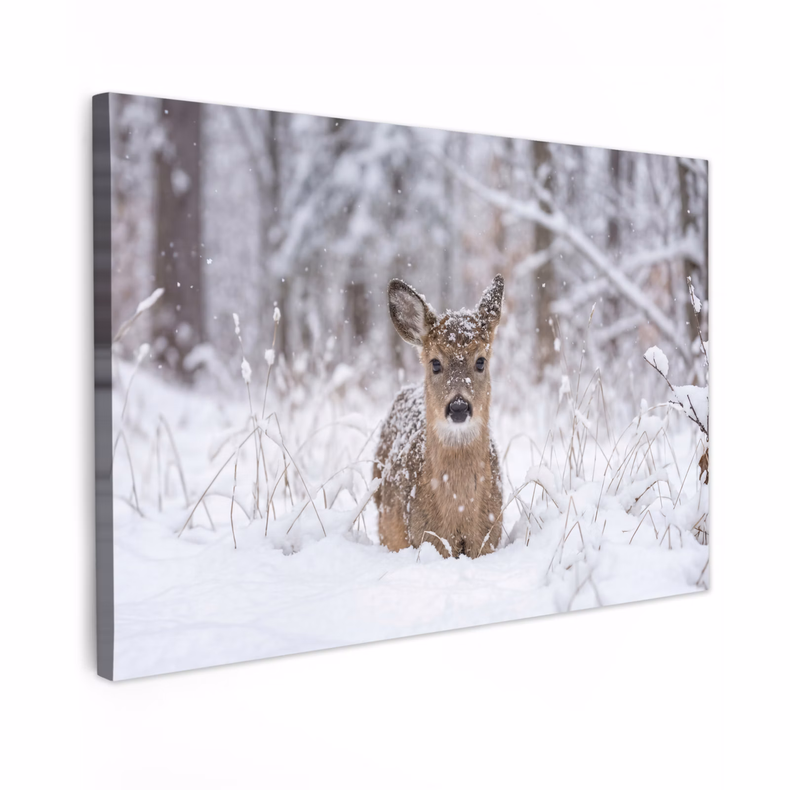 Canvas schilderij - Hert - Sneeuw - Bos - Dieren - Vertederend — 1