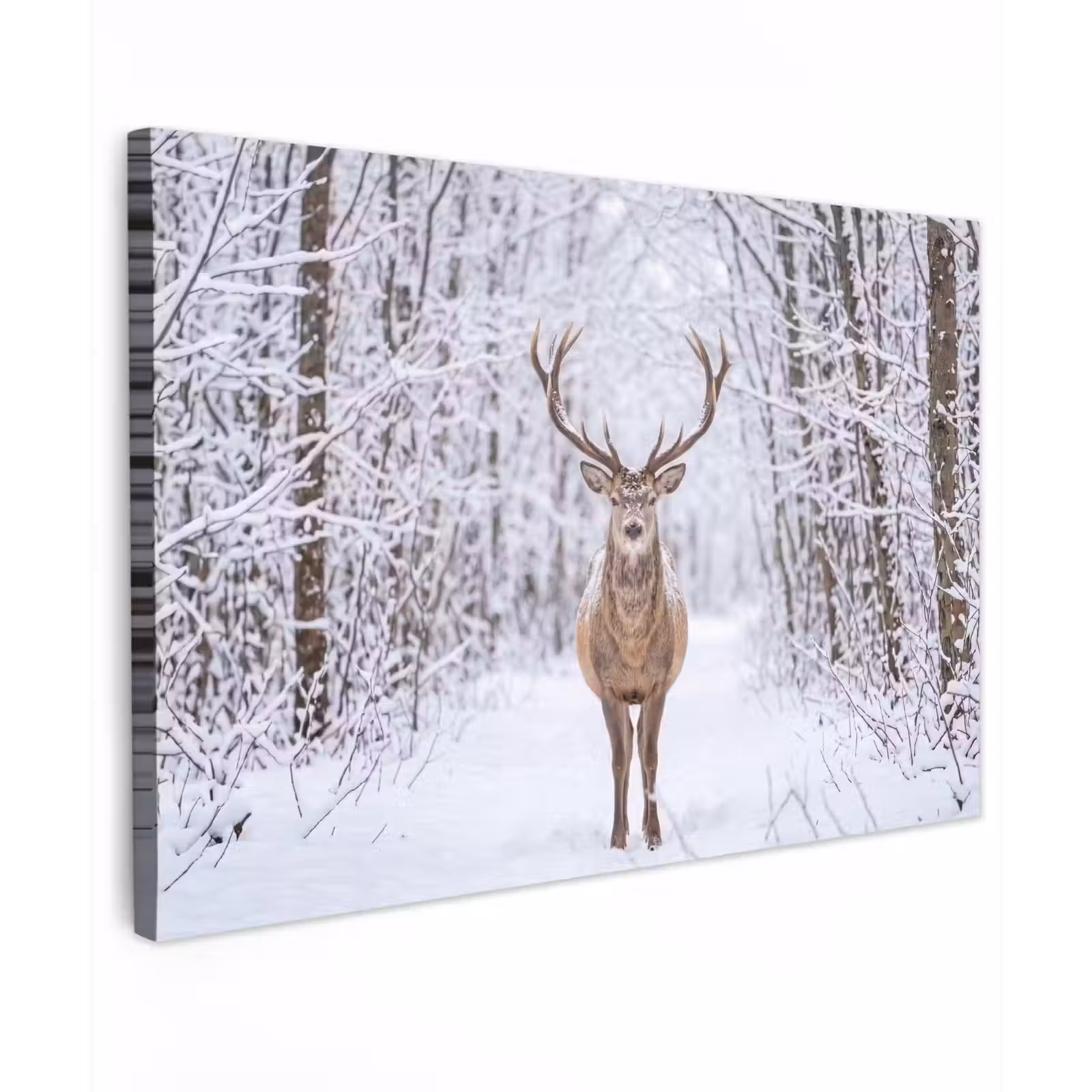 Canvas schilderij - Hert - Winter - Bos - Natuur - Wit — 1