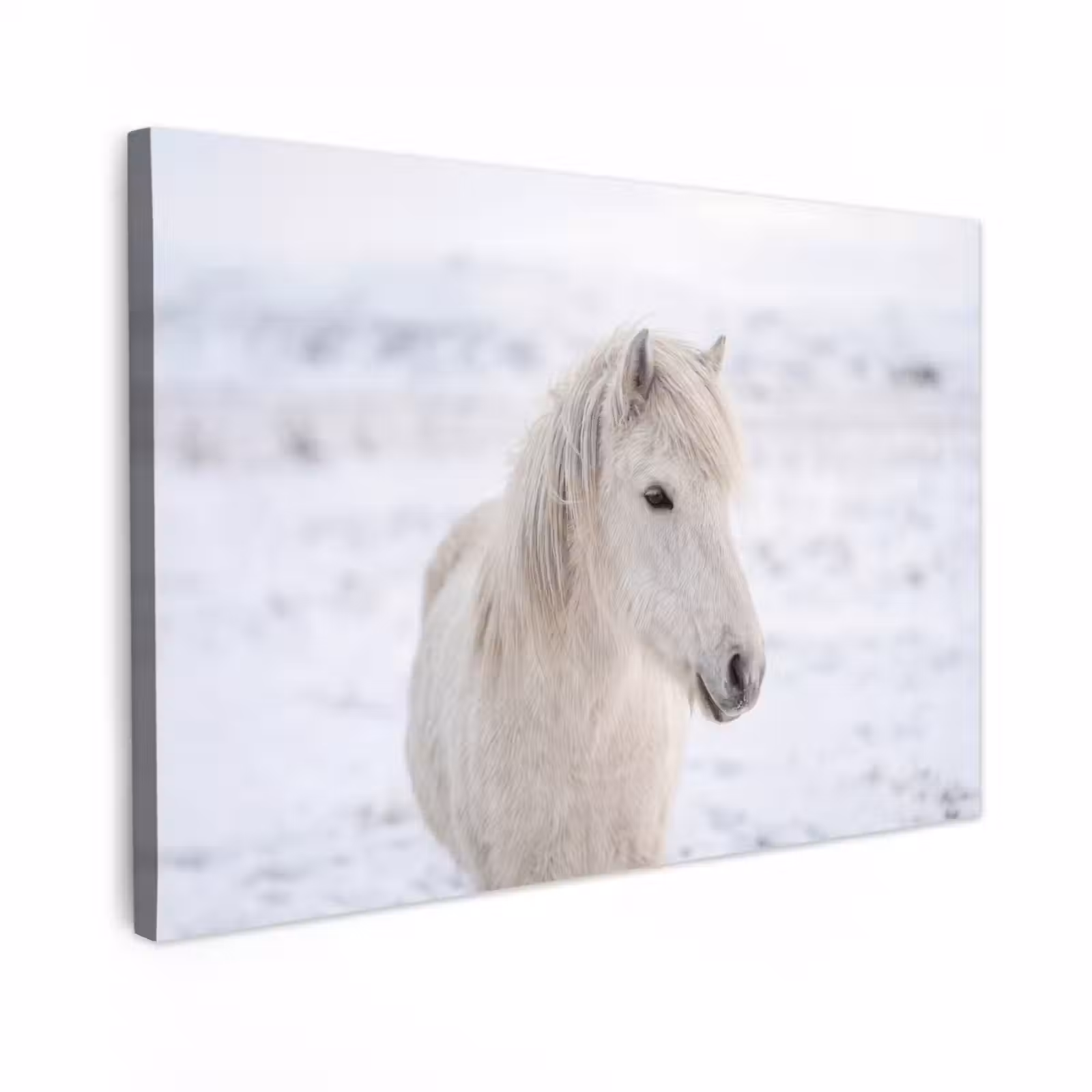 Canvas schilderij - Paard - Kop - Winter - Dieren - Wit — 1