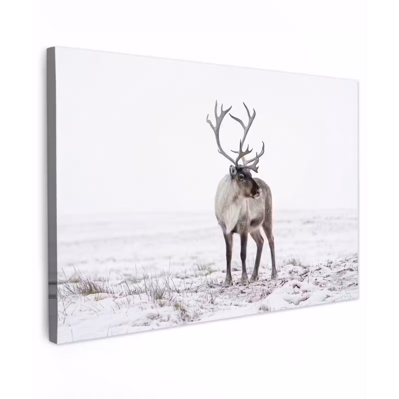 Canvas schilderij - Rendier - Gewei - Sneeuw - Winter — 1