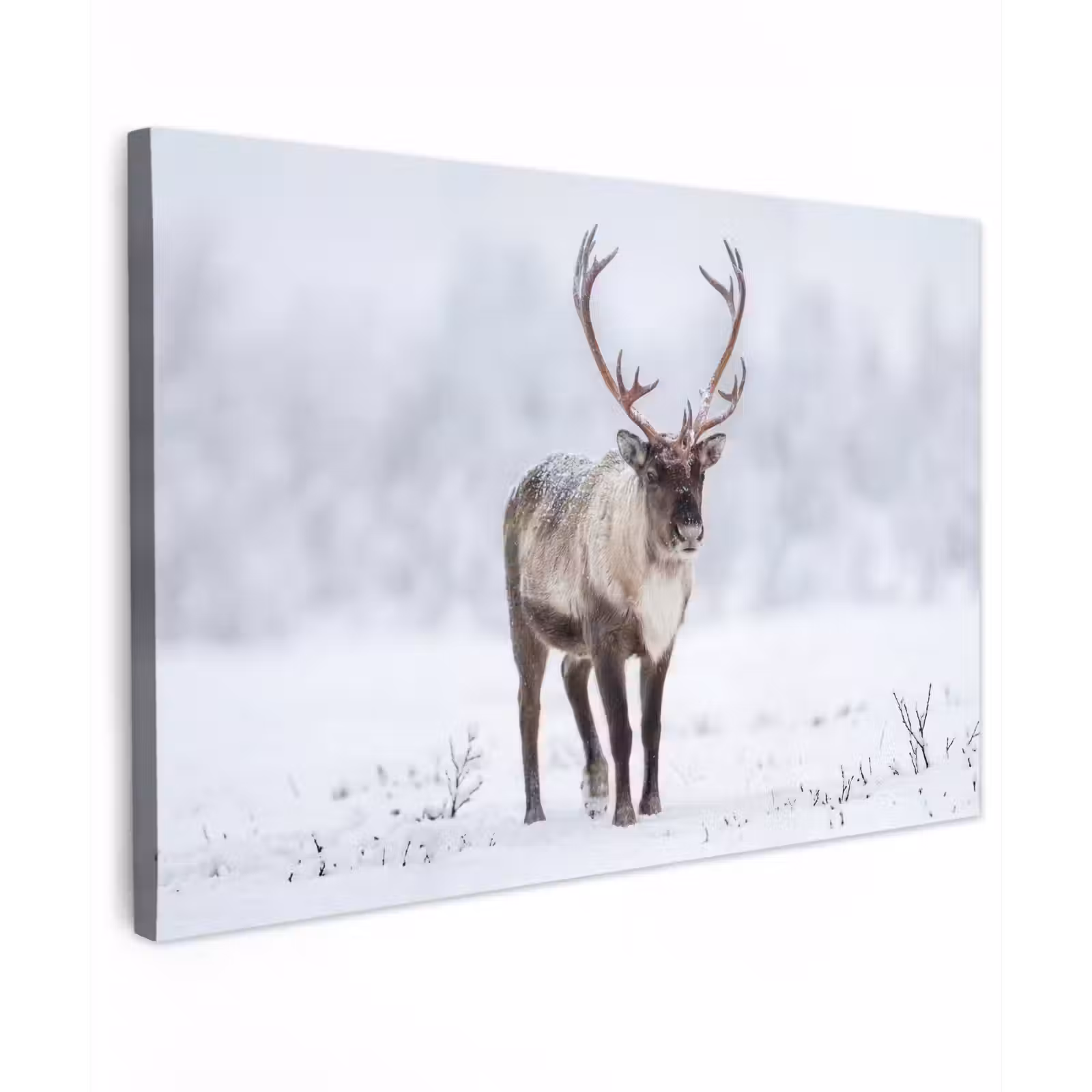 Canvas schilderij - Rendier - Gewei - Toendra - Sneeuw - Wild — 1