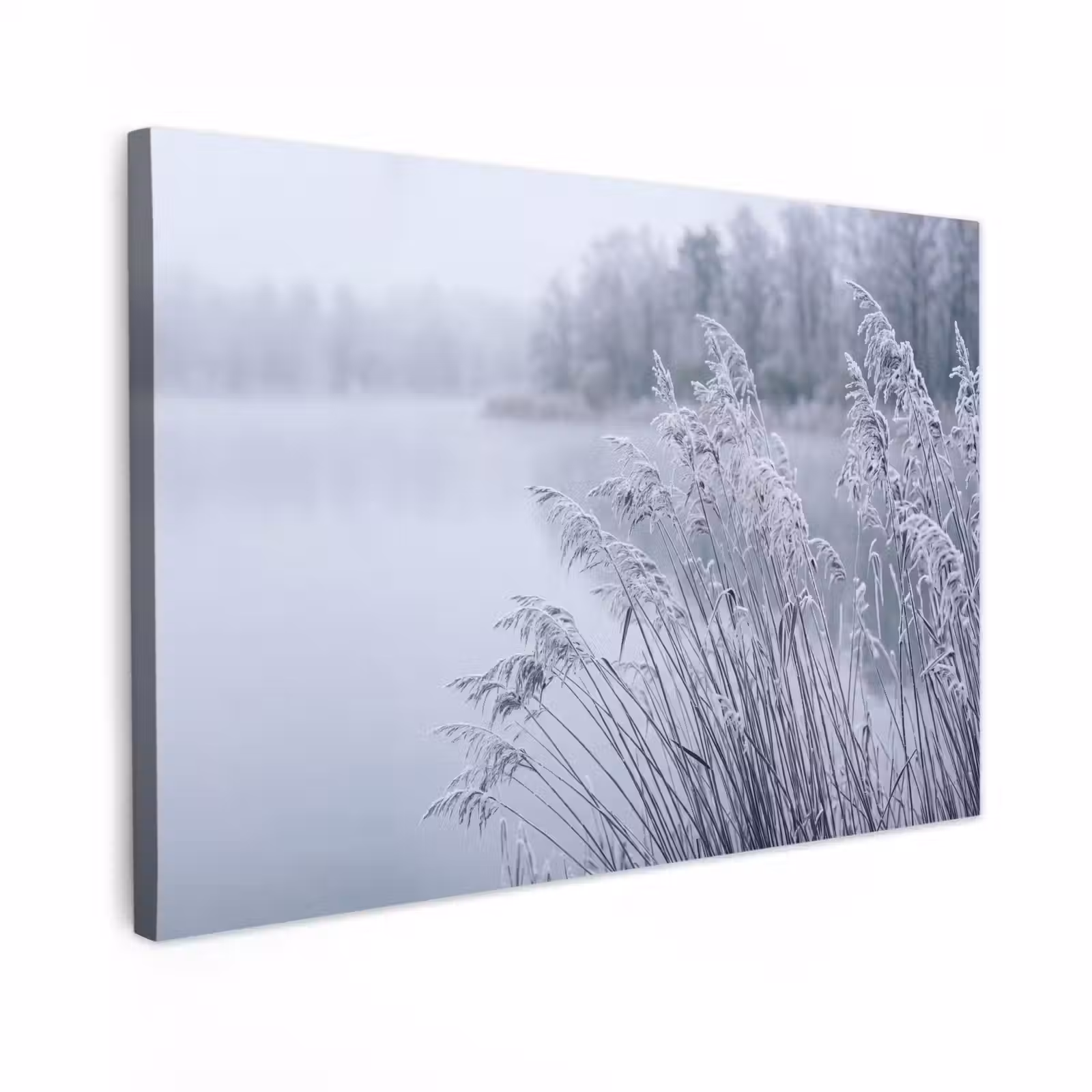 Canvas schilderij - Riet - Bevroren - Winter - Natuur — 1