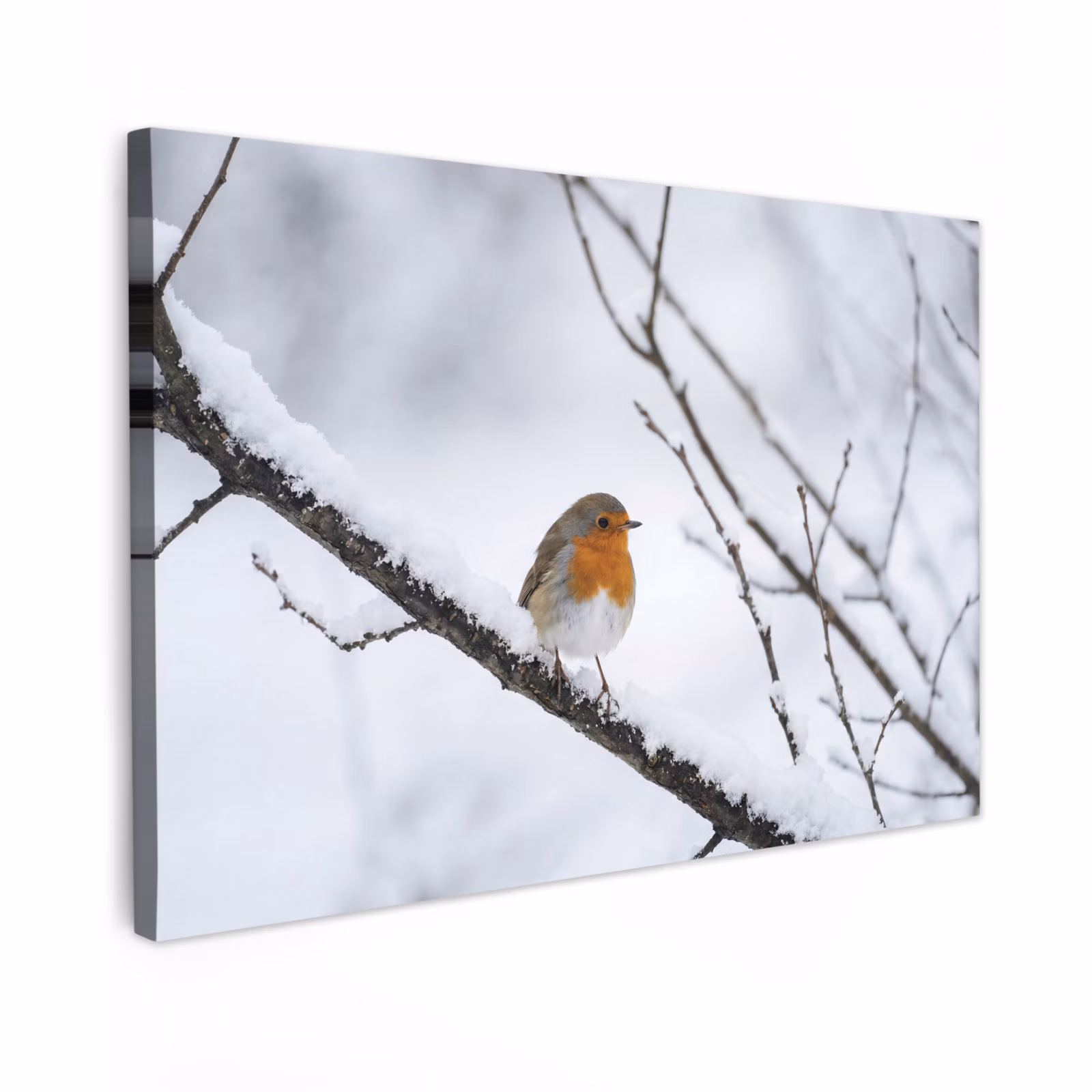 Canvas schilderij - Roodborstje - Tak - Sneeuw - Winter - Levendig — 1