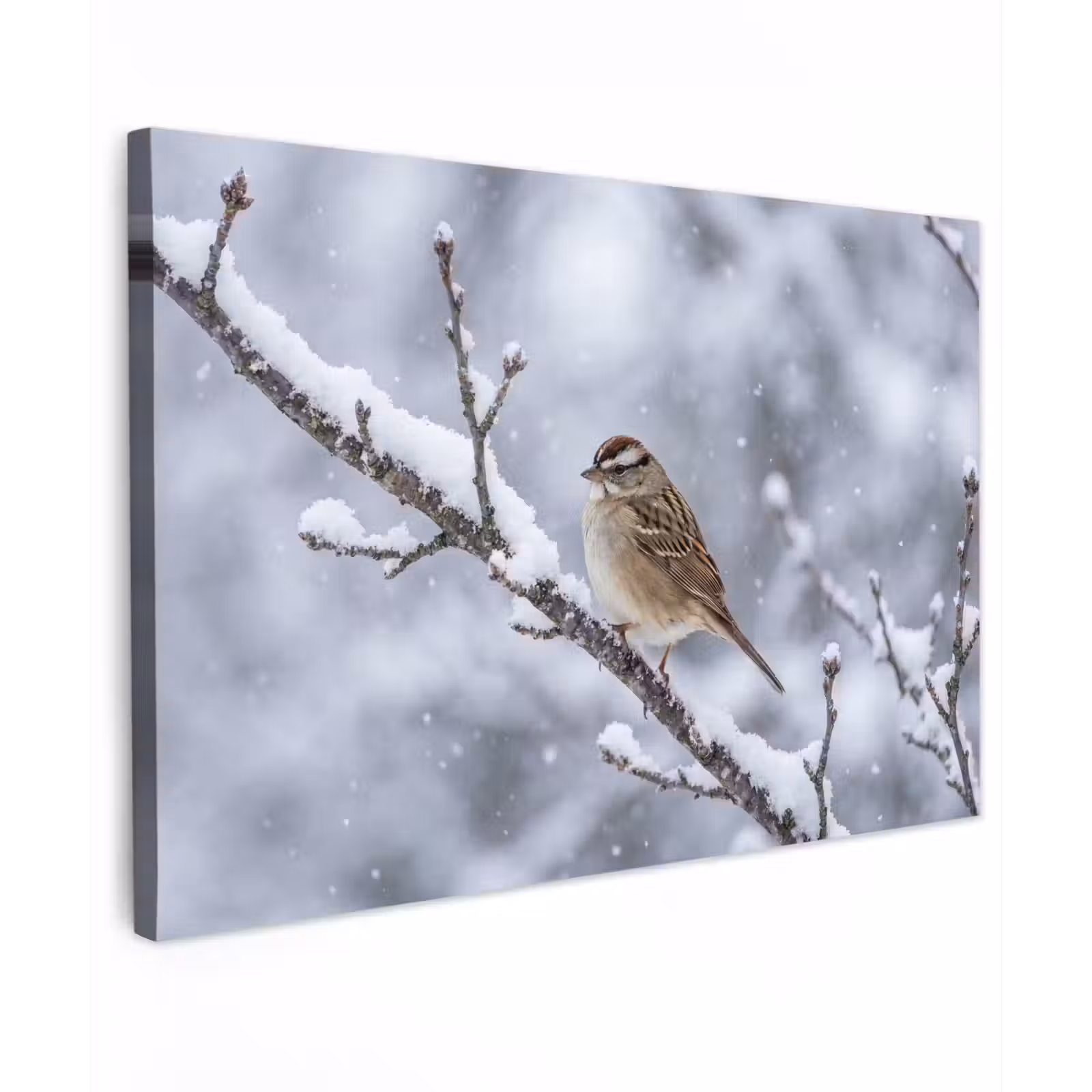 Canvas schilderij - Vogel - Tak - Sneeuw - Winter — 1