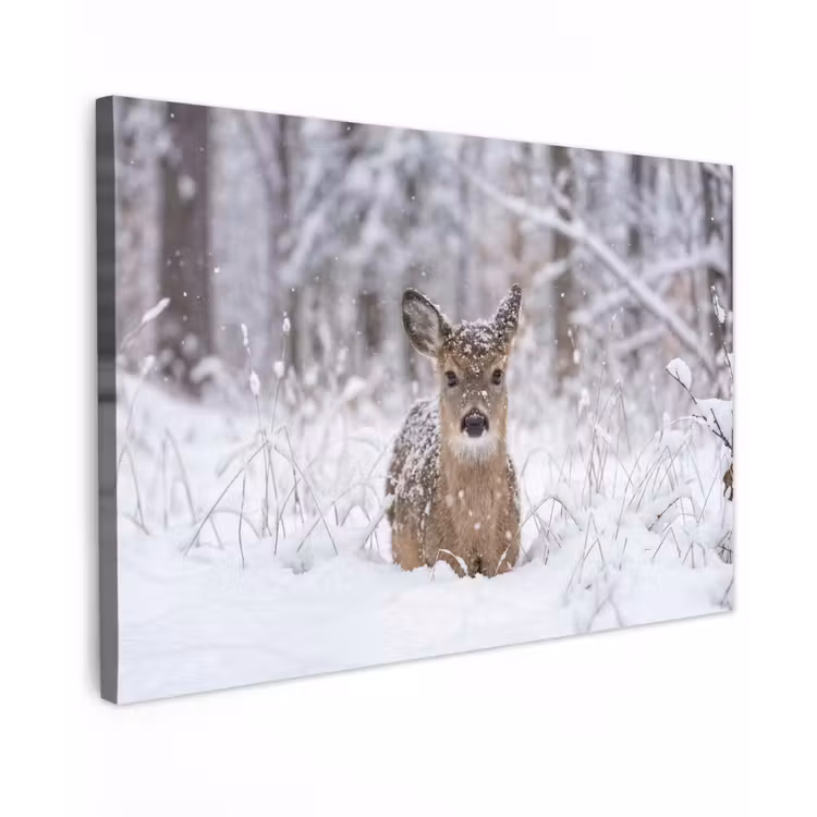 Canvas schilderij - Hert - Sneeuw - Bos - Dieren - Vertederend — 1