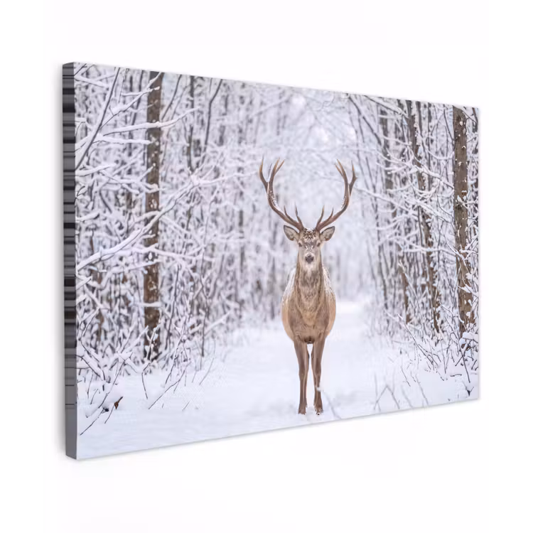 Canvas schilderij - Hert - Winter - Bos - Natuur - Wit — 1