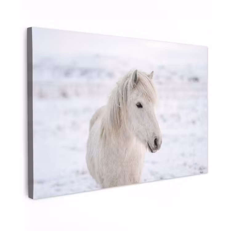 Canvas schilderij - Paard - Kop - Winter - Dieren - Wit — 1