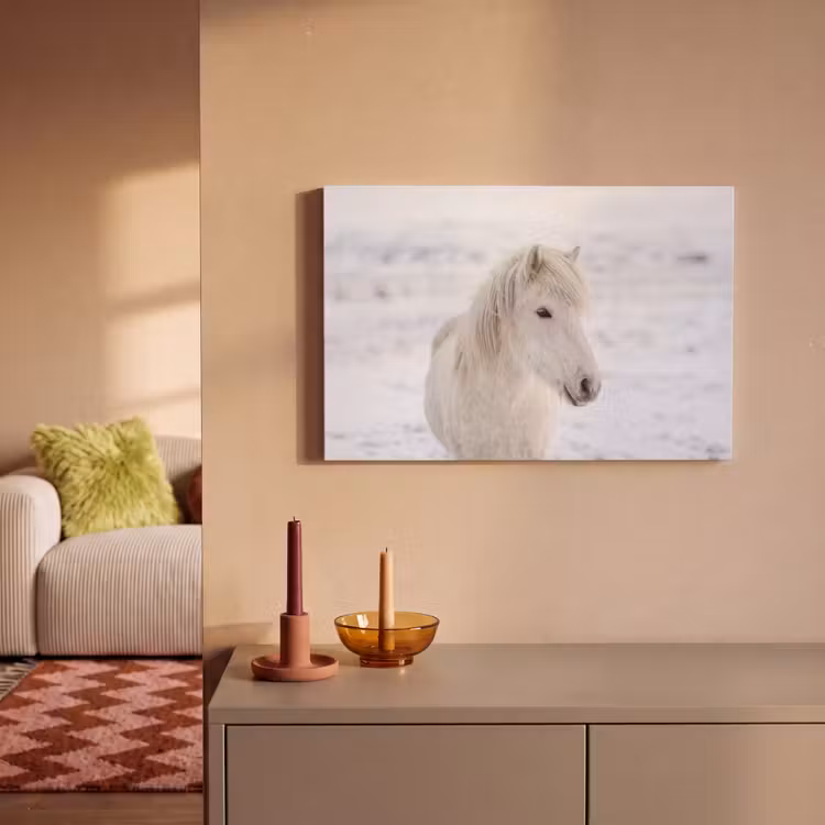 Canvas schilderij - Paard - Kop - Winter - Dieren - Wit — 2
