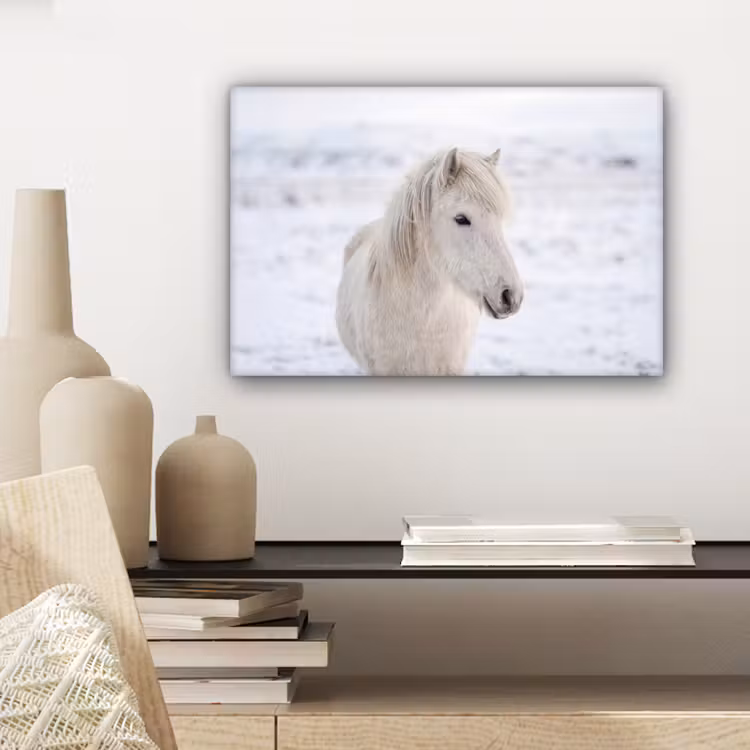 Canvas schilderij - Paard - Kop - Winter - Dieren - Wit — 5