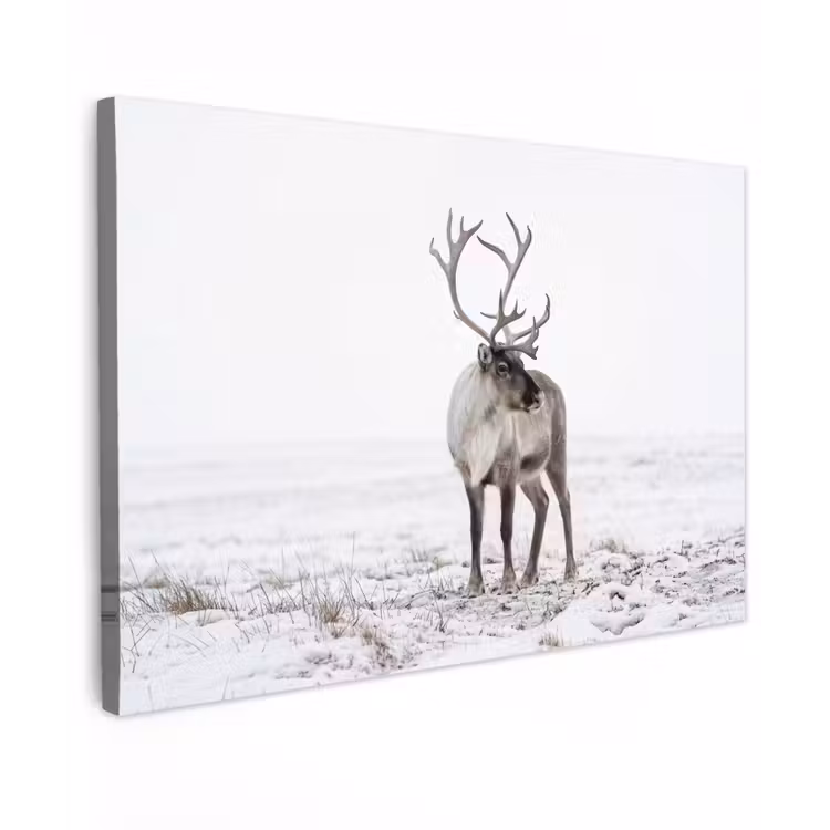 Canvas schilderij - Rendier - Gewei - Sneeuw - Winter — 1