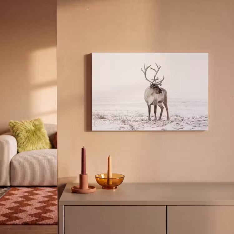 Canvas schilderij - Rendier - Gewei - Sneeuw - Winter — 2