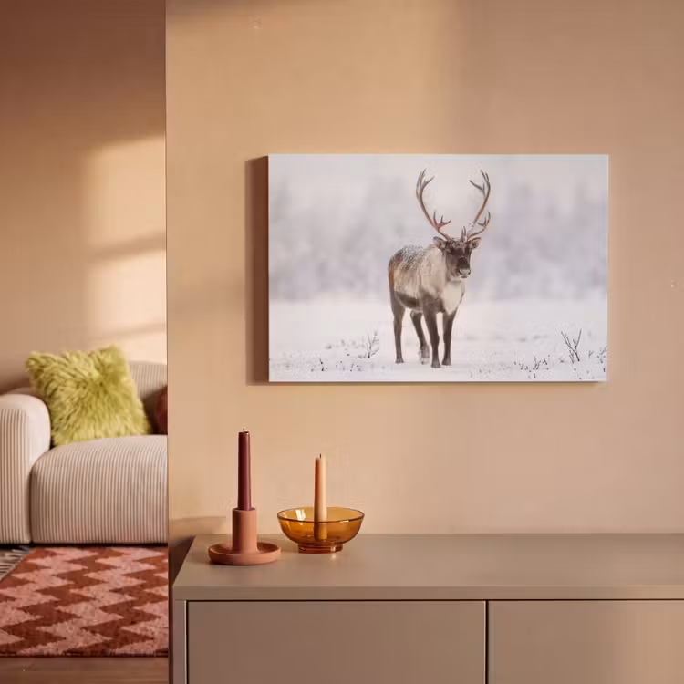 Canvas schilderij - Rendier - Gewei - Toendra - Sneeuw - Wild — 2