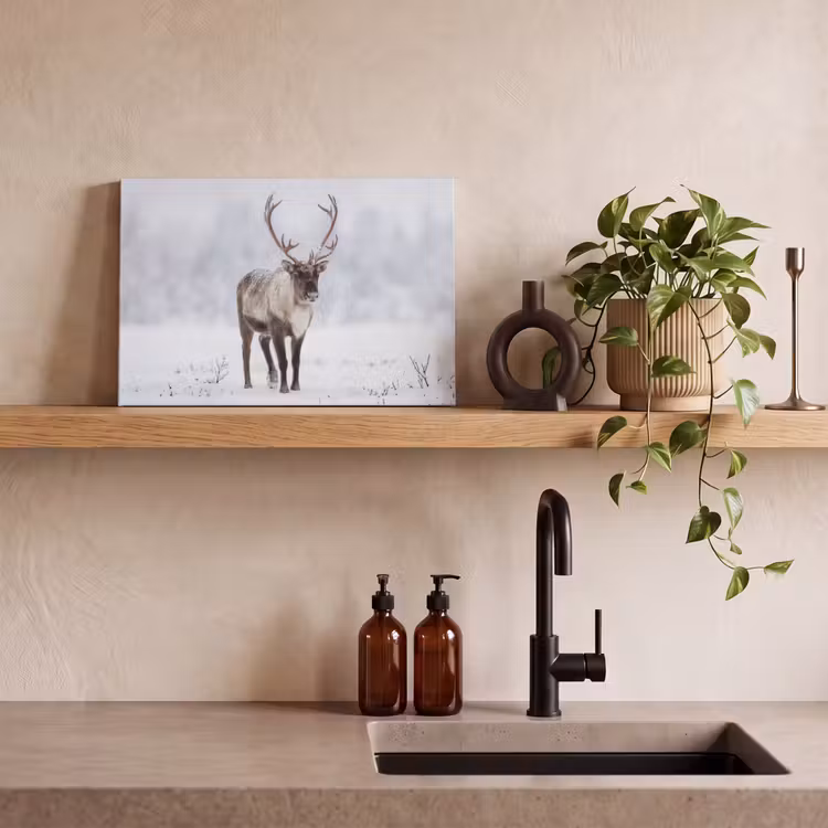Canvas schilderij - Rendier - Gewei - Toendra - Sneeuw - Wild — 3