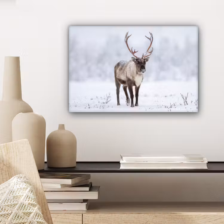 Canvas schilderij - Rendier - Gewei - Toendra - Sneeuw - Wild — 5