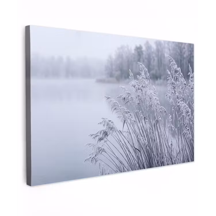 Canvas schilderij - Riet - Bevroren - Winter - Natuur — 1