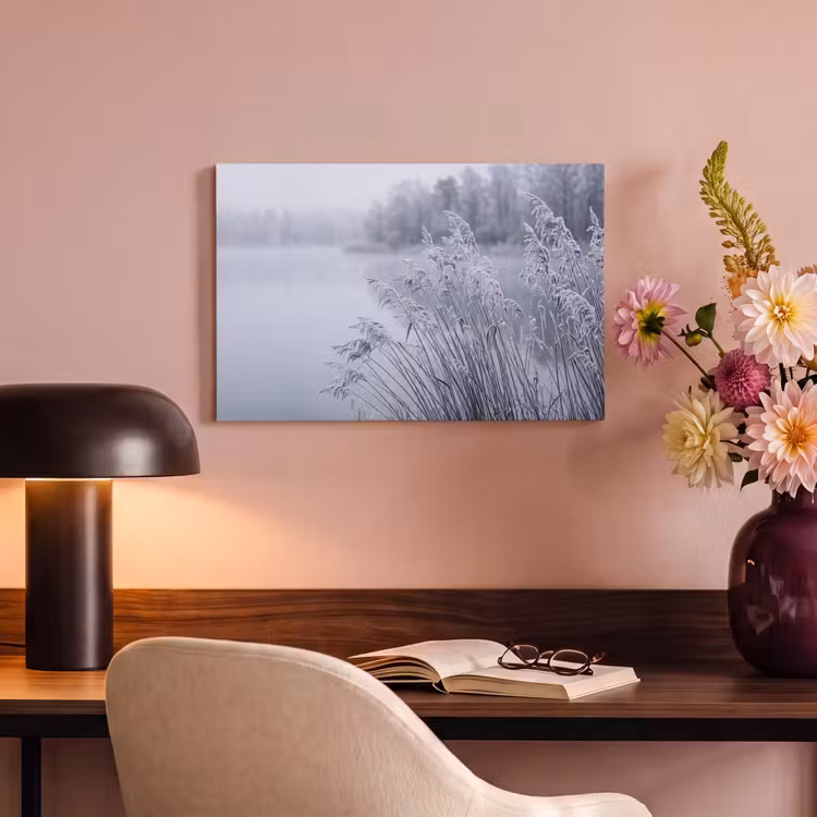 Canvas schilderij - Riet - Bevroren - Winter - Natuur — 4