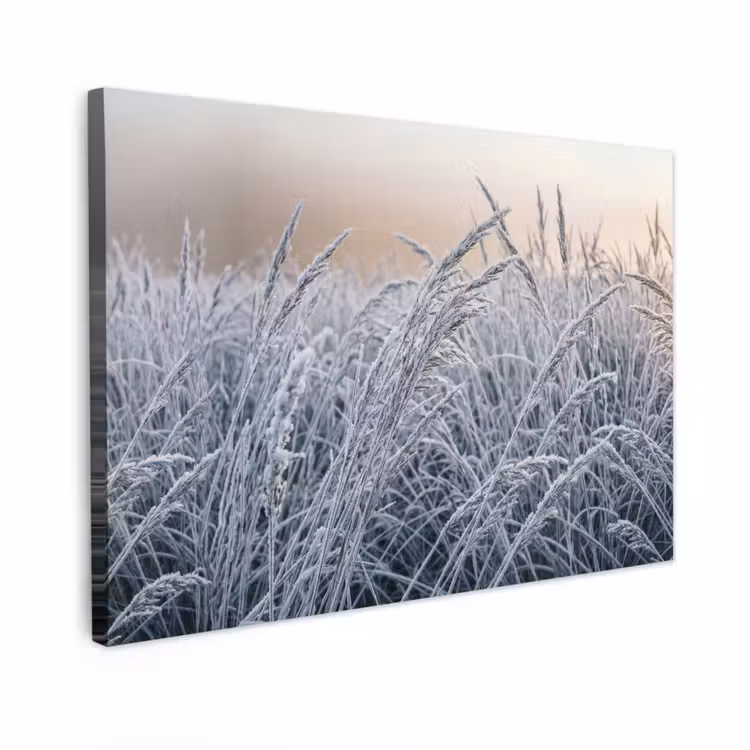 Canvas schilderij - Rijp - Gras - Kristallen - Winter - Minimalistisch — 1