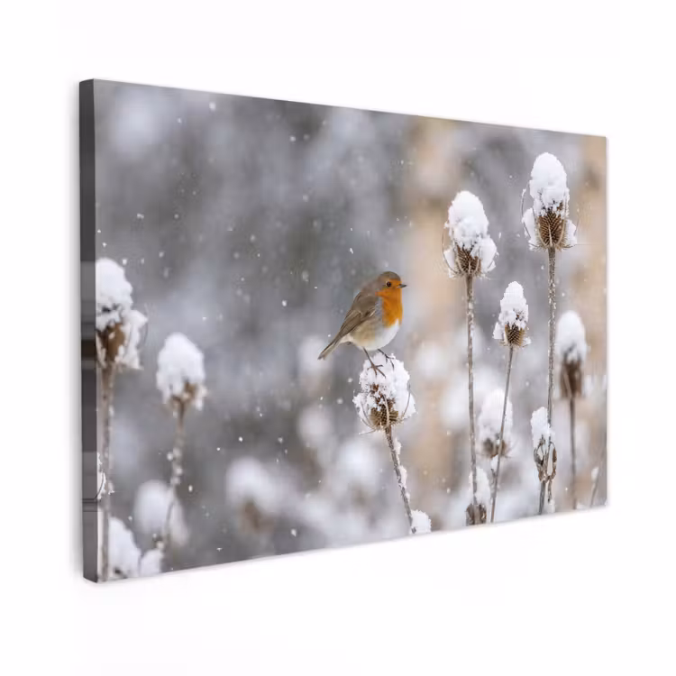 Canvas schilderij - Roodborstje - Gedroogde bloem - Sneeuw - Winter - Vertederend — 1