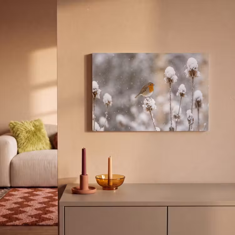 Canvas schilderij - Roodborstje - Gedroogde bloem - Sneeuw - Winter - Vertederend — 2