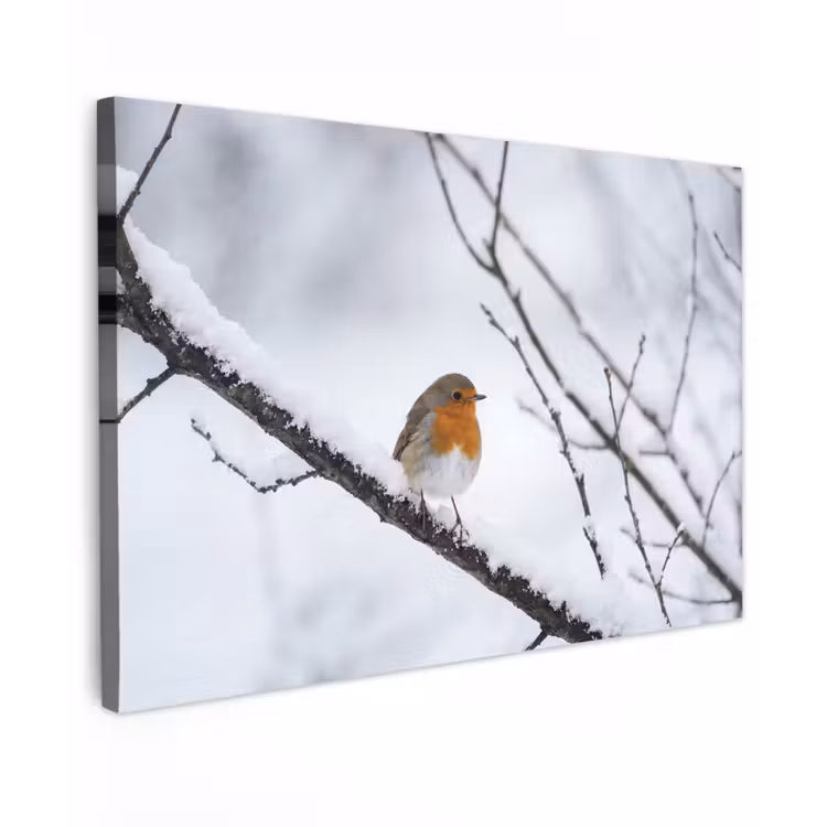 Canvas schilderij - Roodborstje - Tak - Sneeuw - Winter - Levendig — 1