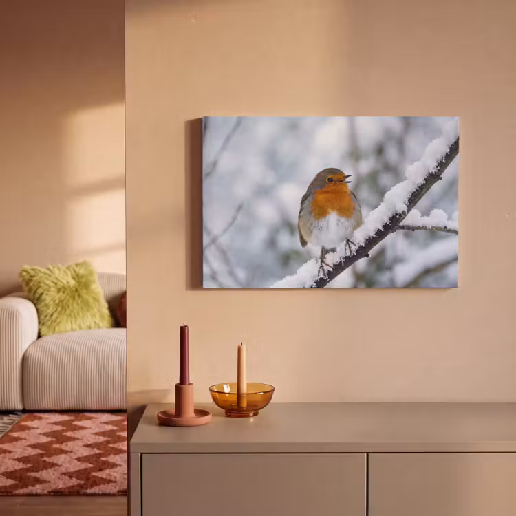 Canvas schilderij - Roodborstje - Tak - Sneeuw - Winter - Levendig — 2