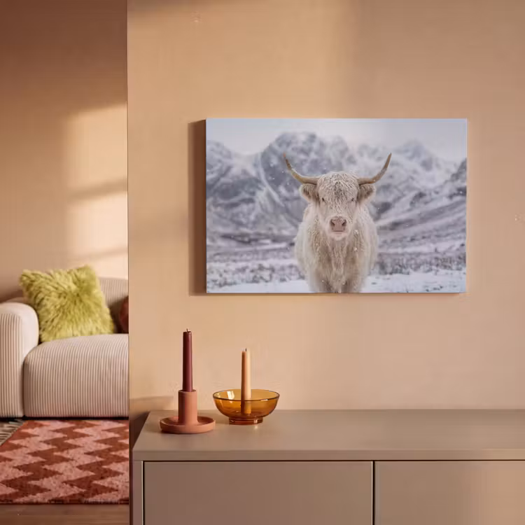 Canvas schilderij - Schotse Hooglander - Sneeuw - Bergen - Winter — 2