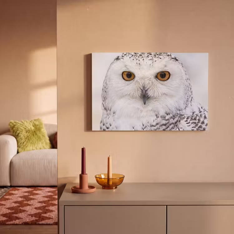 Canvas schilderij - Sneeuwuil - Oog - Wildlife - Wit — 2