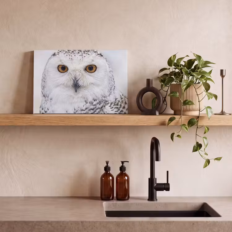 Canvas schilderij - Sneeuwuil - Oog - Wildlife - Wit — 3