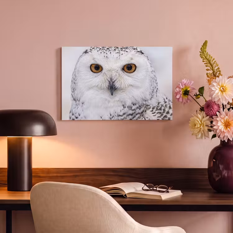 Canvas schilderij - Sneeuwuil - Oog - Wildlife - Wit — 4