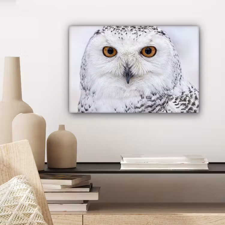 Canvas schilderij - Sneeuwuil - Oog - Wildlife - Wit — 5