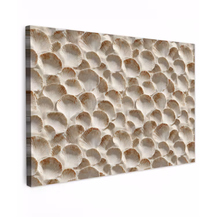 Canvas schilderij - Schelpen - Waaiervorm - Wit — 1