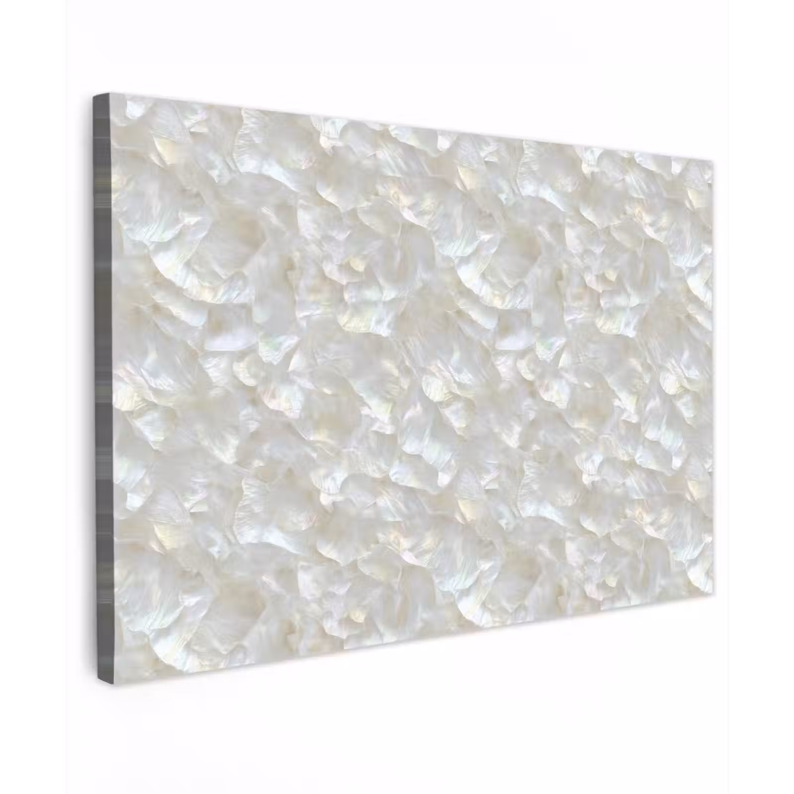Canvas schilderij - Parelmoerglans - Wit - Schelp — 1