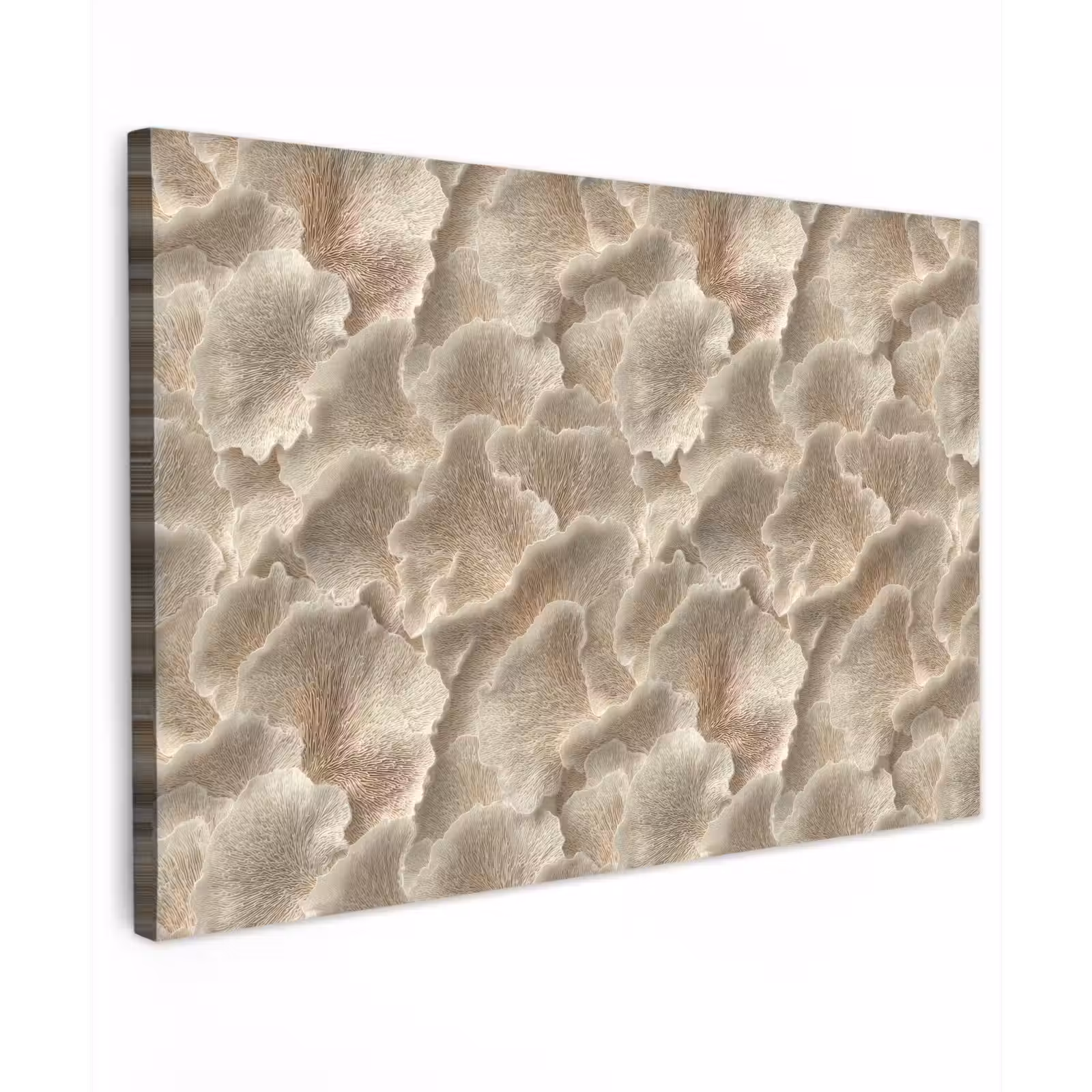 Canvas schilderij - Waaierstructuren - Beige - Vezeltextuur — 1